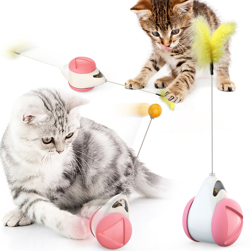 Funny Cat Swing Pet Toy