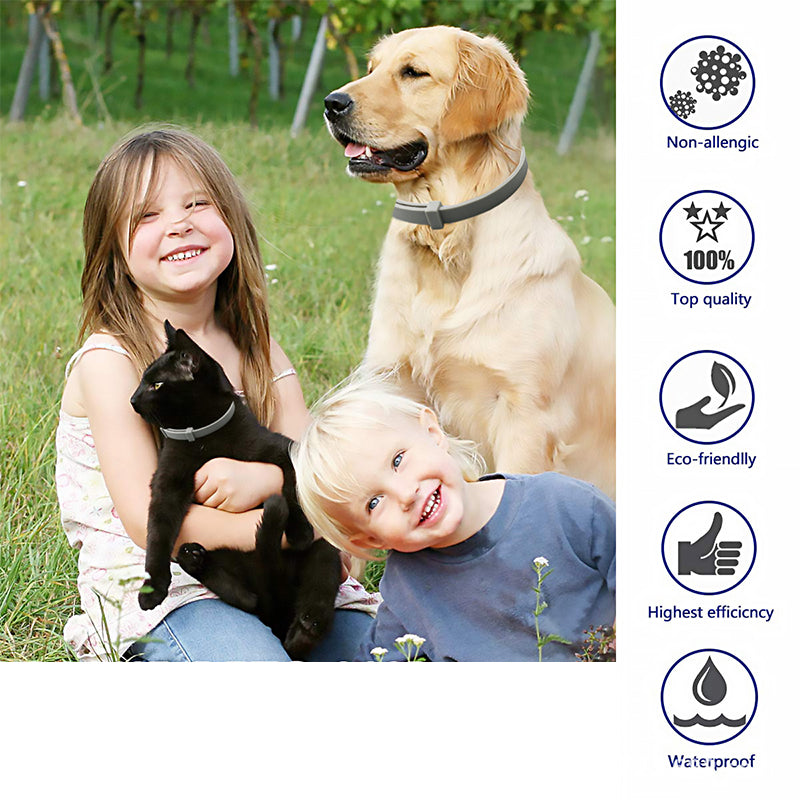 Pet Deworming Collar