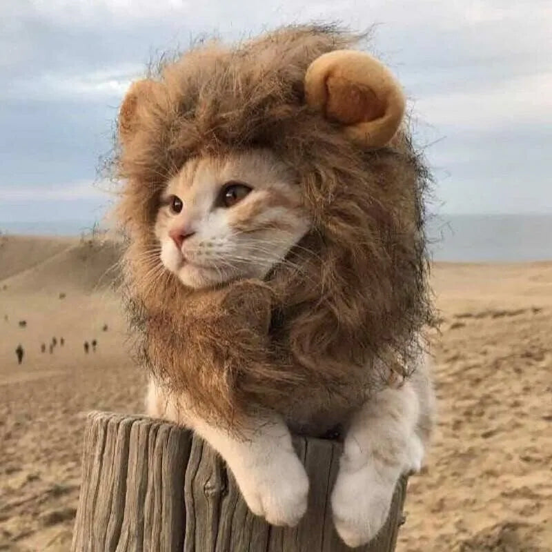 Pet Simulation Lion Mane