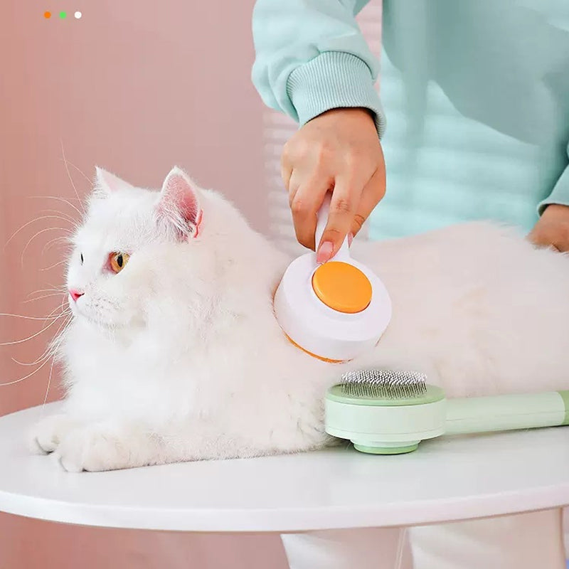 2-in-1 cleansing pet hair removal brush