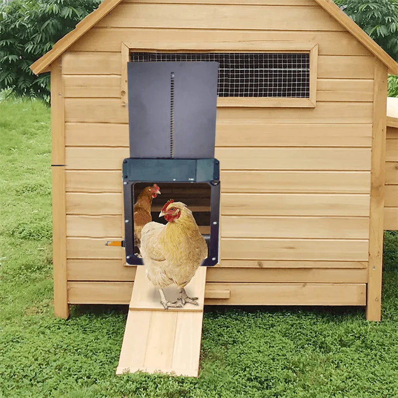 Automatic Poultry House Door