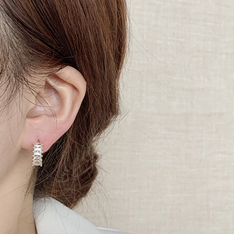 Premium Zircon Stud Earrings