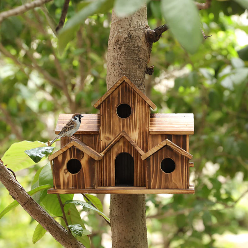 Natural Bird House for Backyard