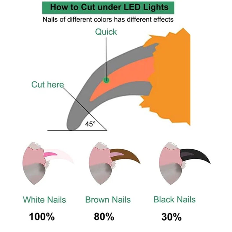 Professional LED Pet Nail Clippers