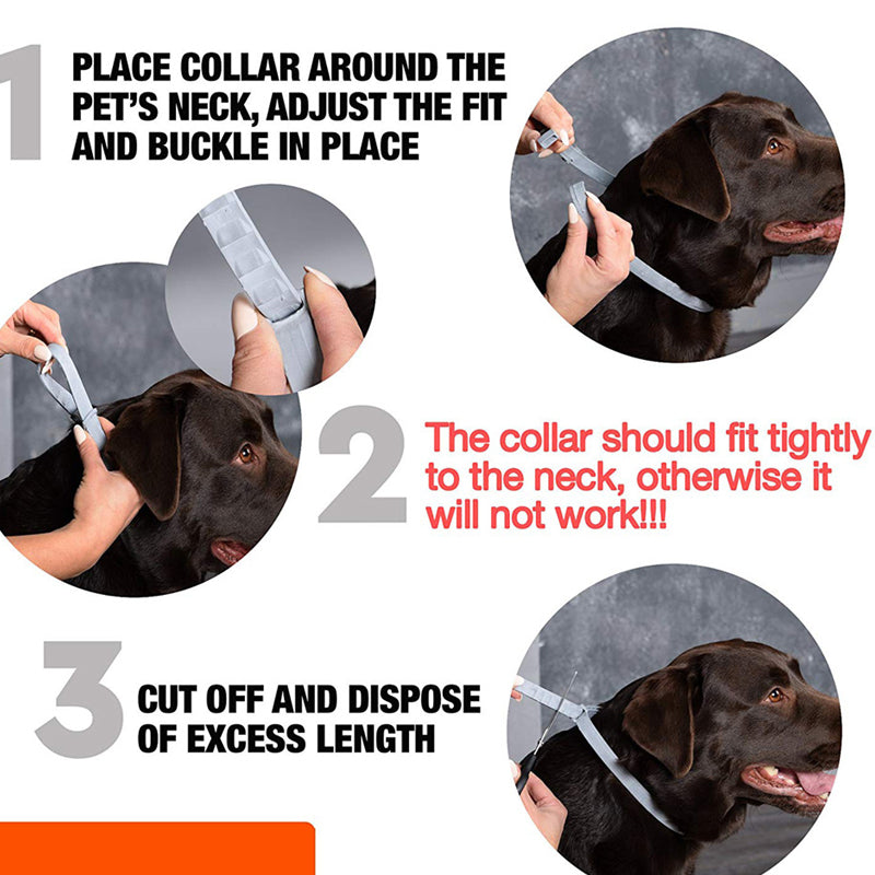 Pet Deworming Collar