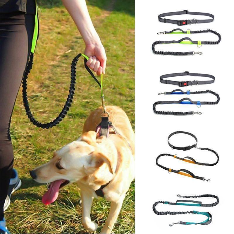 Handsfree Elastic Bungee Dog Leash