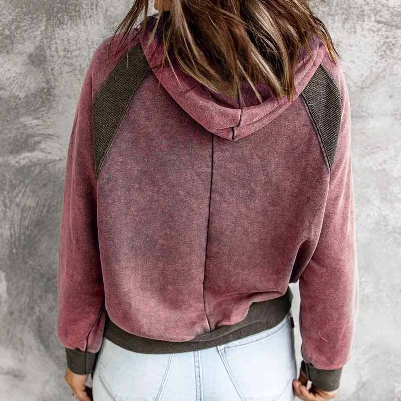 Casual Panel Hooded Long Sleeve Sweatshirt
