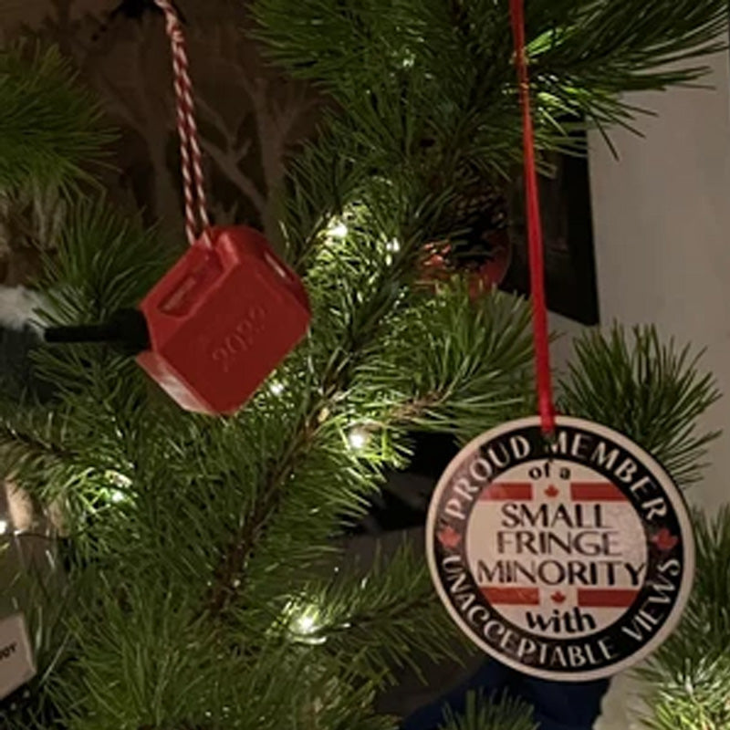 Funny Christmas Money Ornament