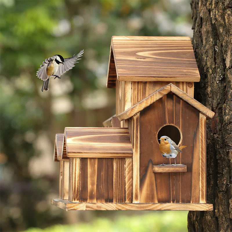 Natural Bird House for Backyard