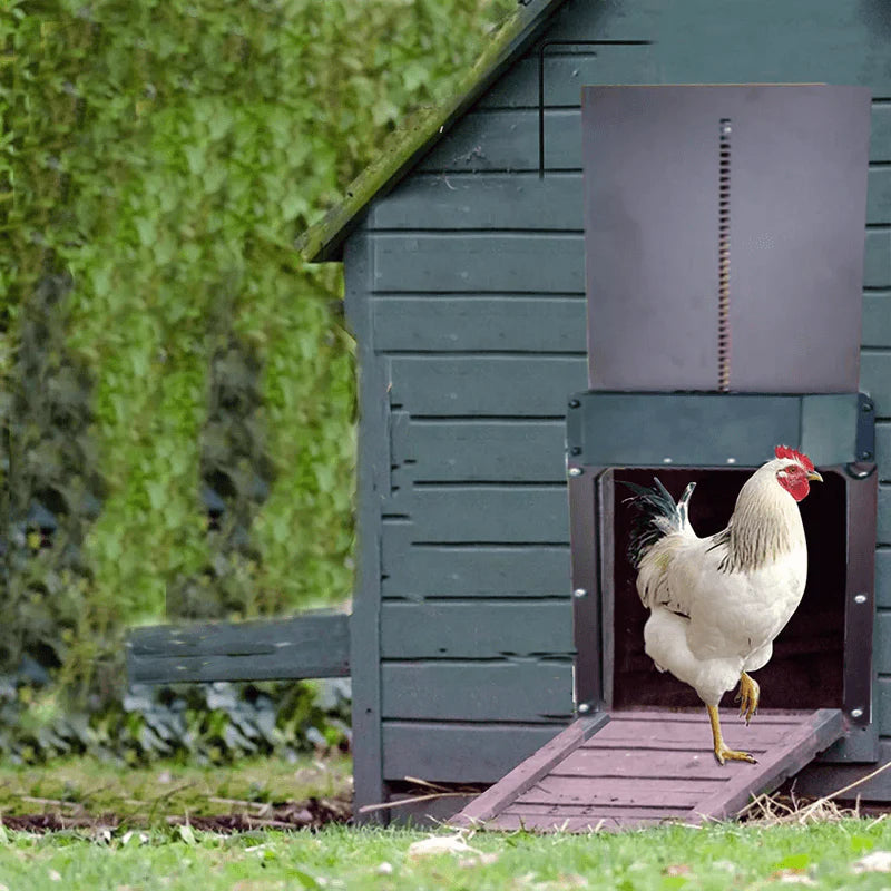 Automatic Poultry House Door