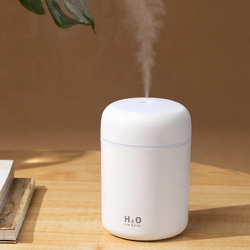 Mini Air Purifier