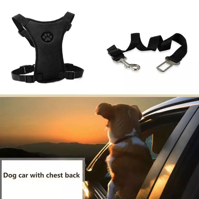 Dog Safety Harness Set