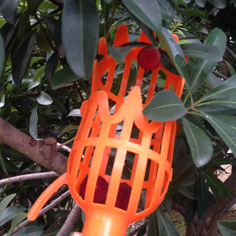 Fruit Picking Tool
