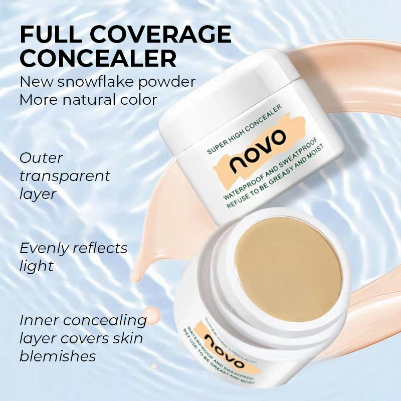 Long-lasting Waterproof Concealer