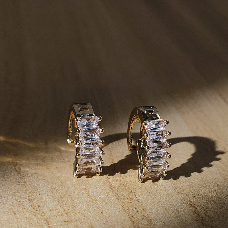 Premium Zircon Stud Earrings