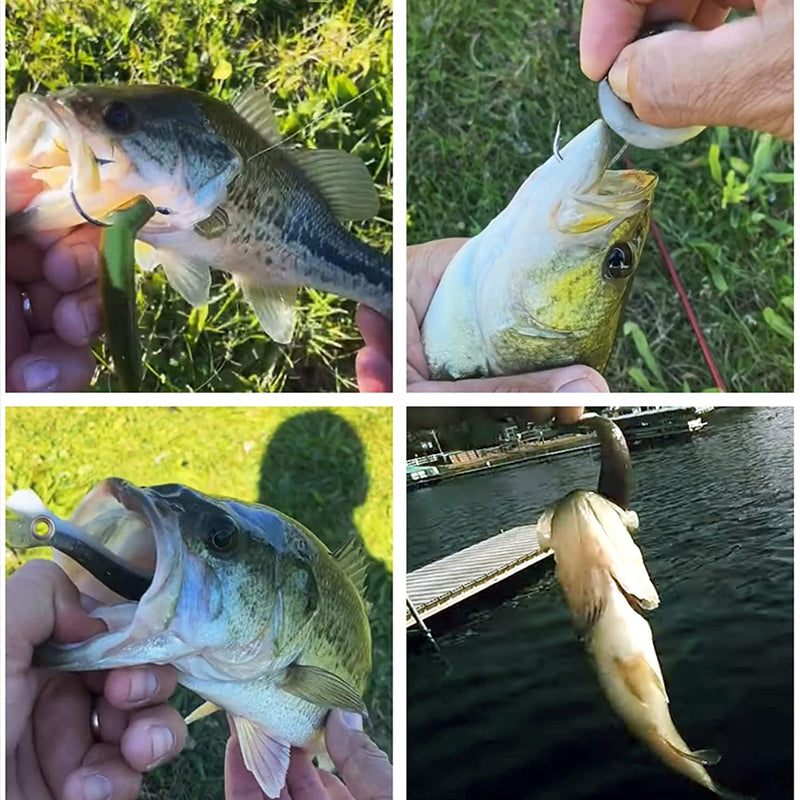 Soft Plastic Lure