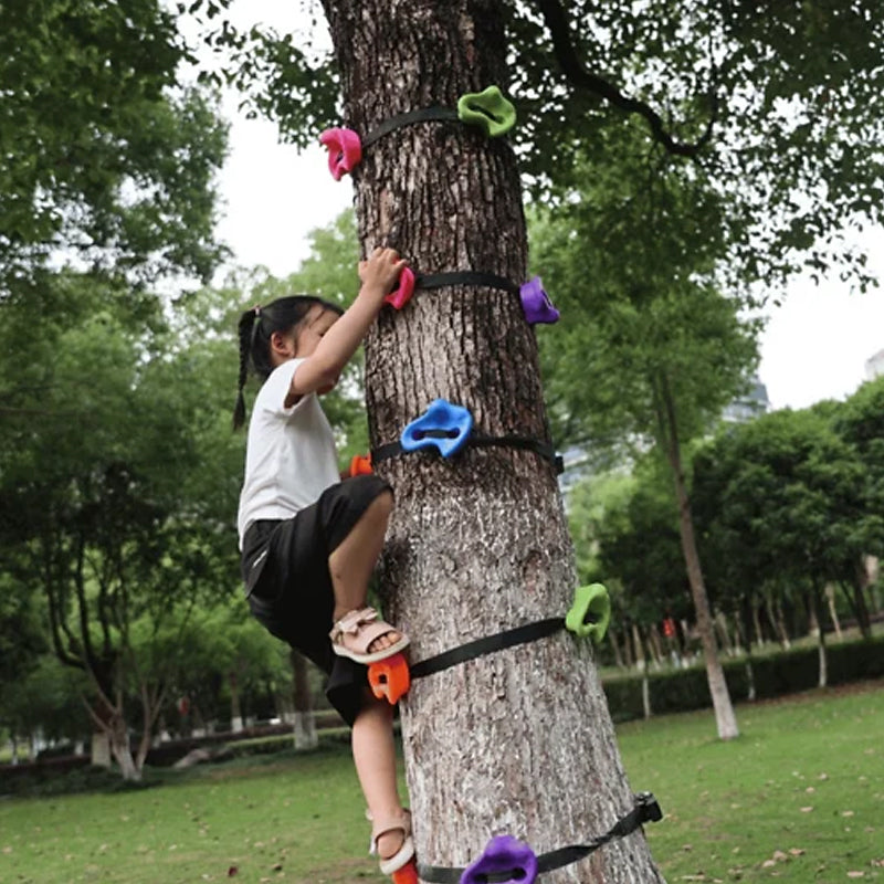 Kids Backyard Rock Climbing Kit