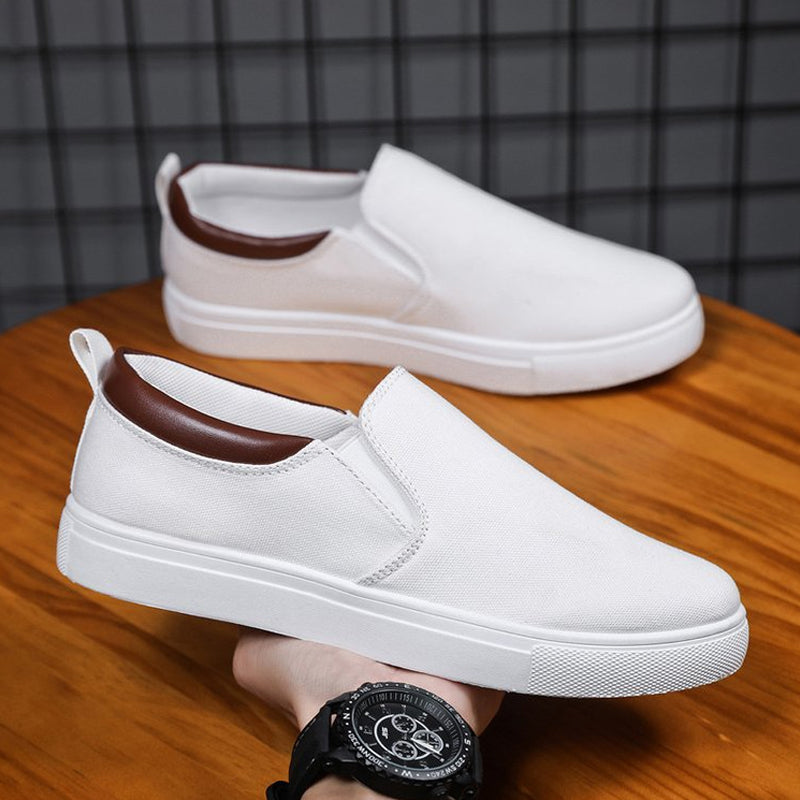 Men's Plus Size Canvas Shoes