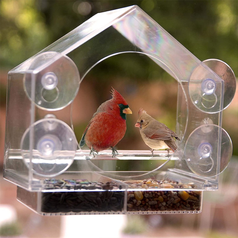 Window Bird House Feeder