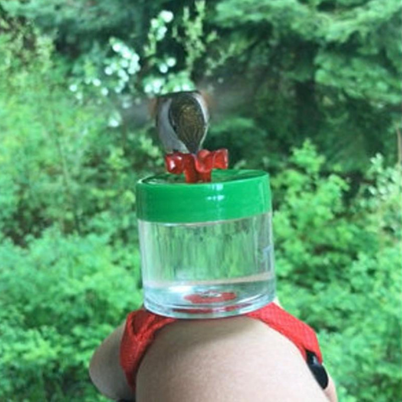 Original Hummingbird Wrist Feeder