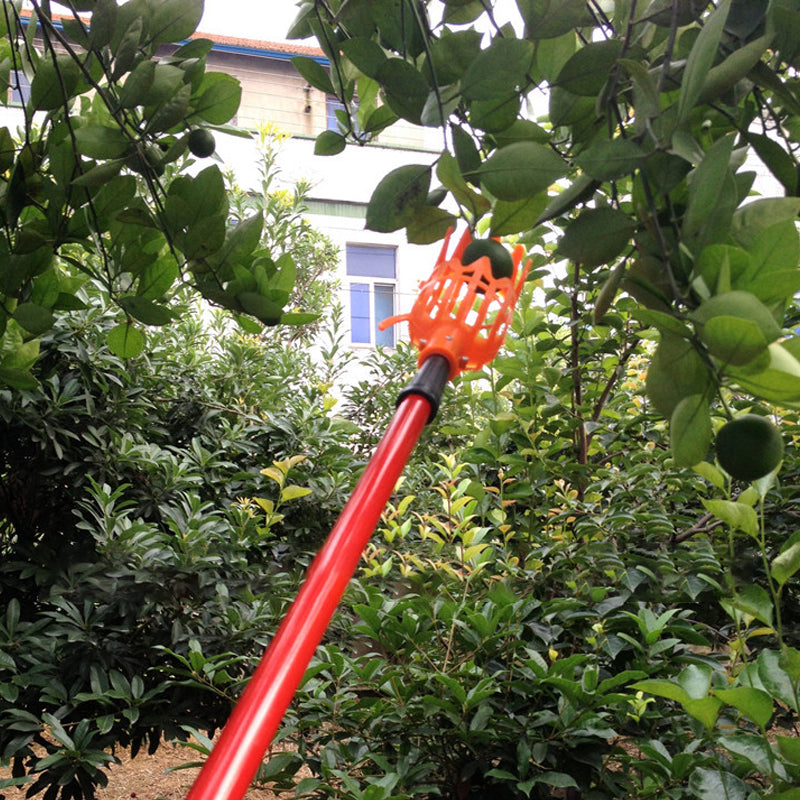 Fruit Picking Tool