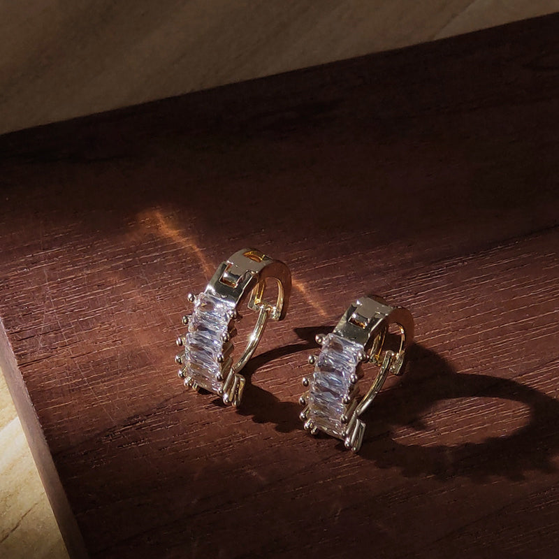 Premium Zircon Stud Earrings