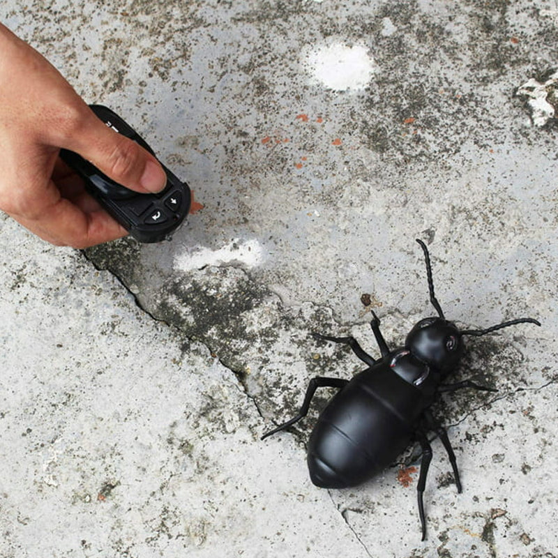 Electric Insect Toy