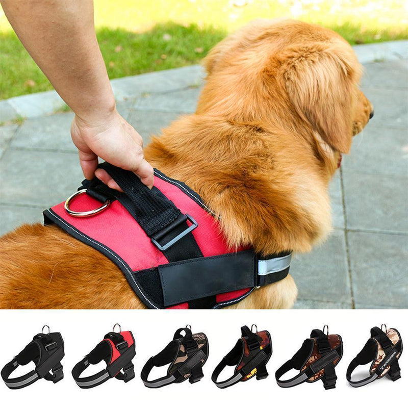 Large Dog Chest Harness