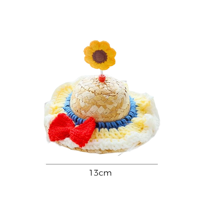Pet Straw Hat