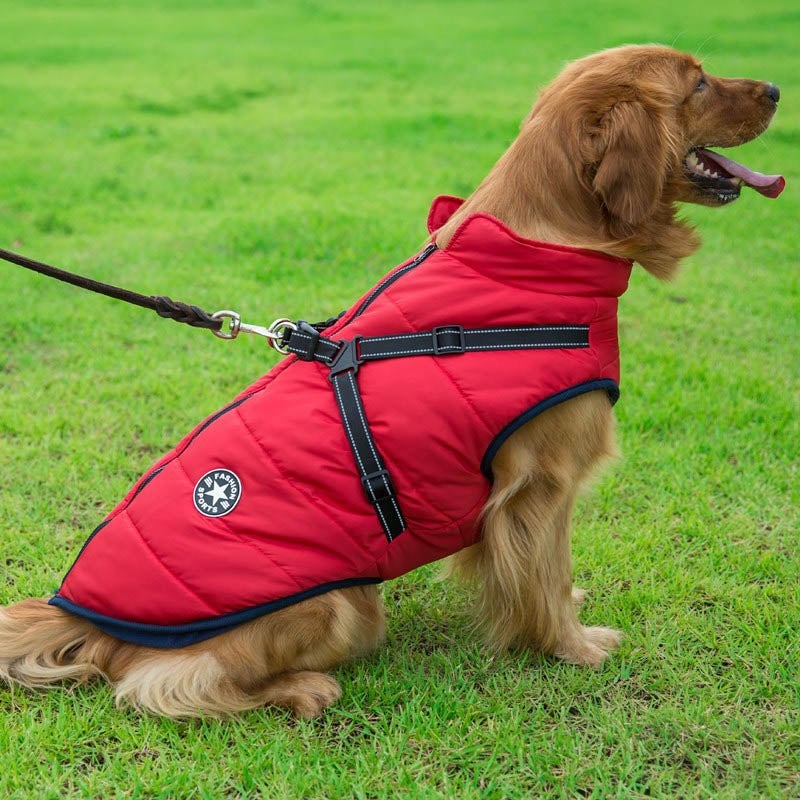 Waterproof Winter Dog Jacket