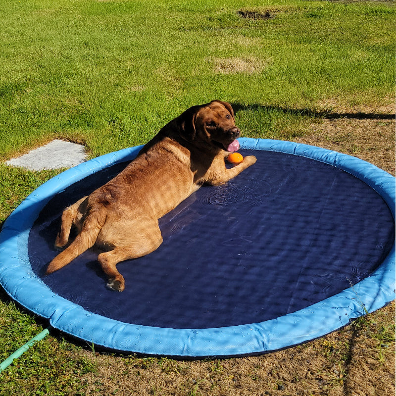 Folding Pet Bath Pad