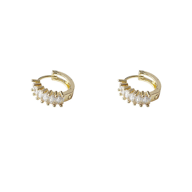Premium Zircon Stud Earrings