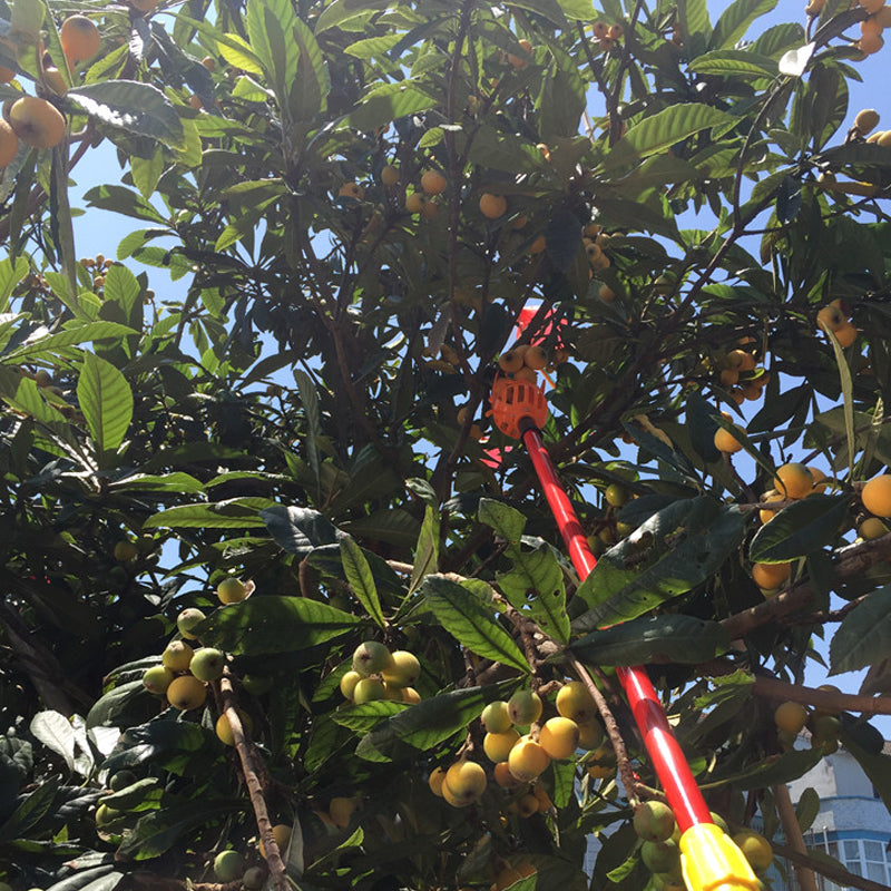 Fruit Picking Tool