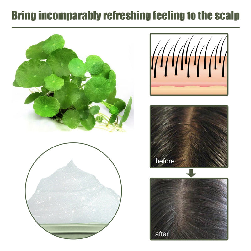 Centella Asiatica Sea Salt Shampoo