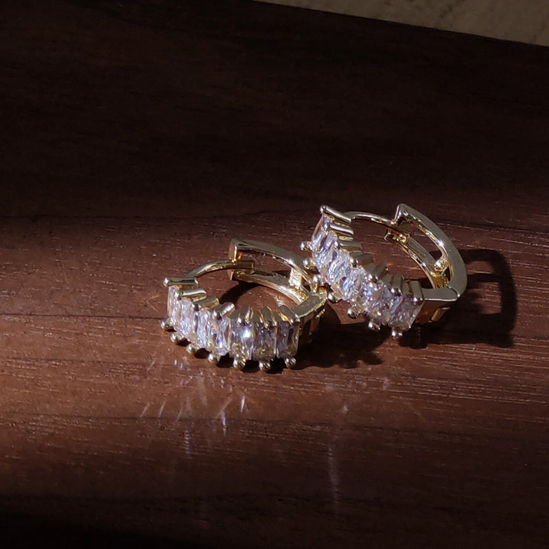 Premium Zircon Stud Earrings