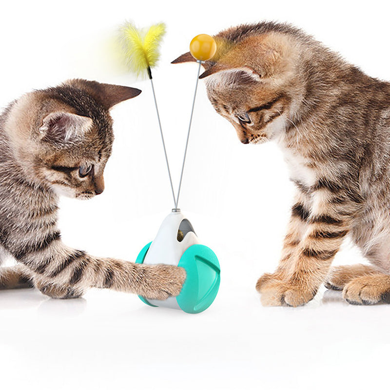 Funny Cat Swing Pet Toy