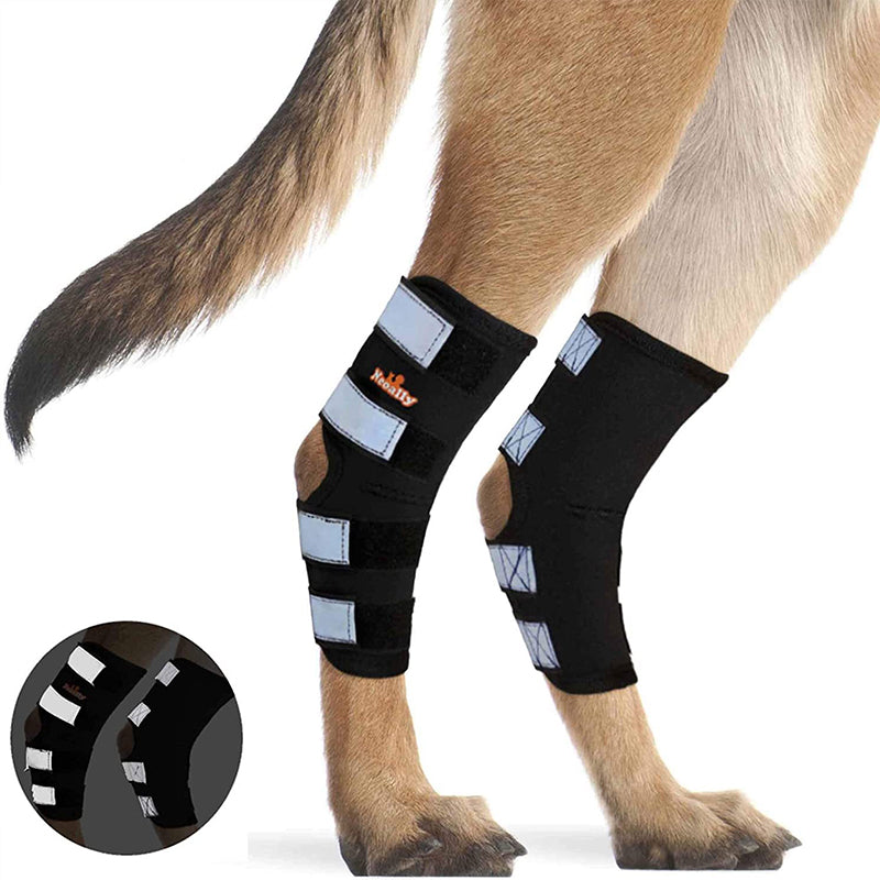 Back Hock Dog Brace