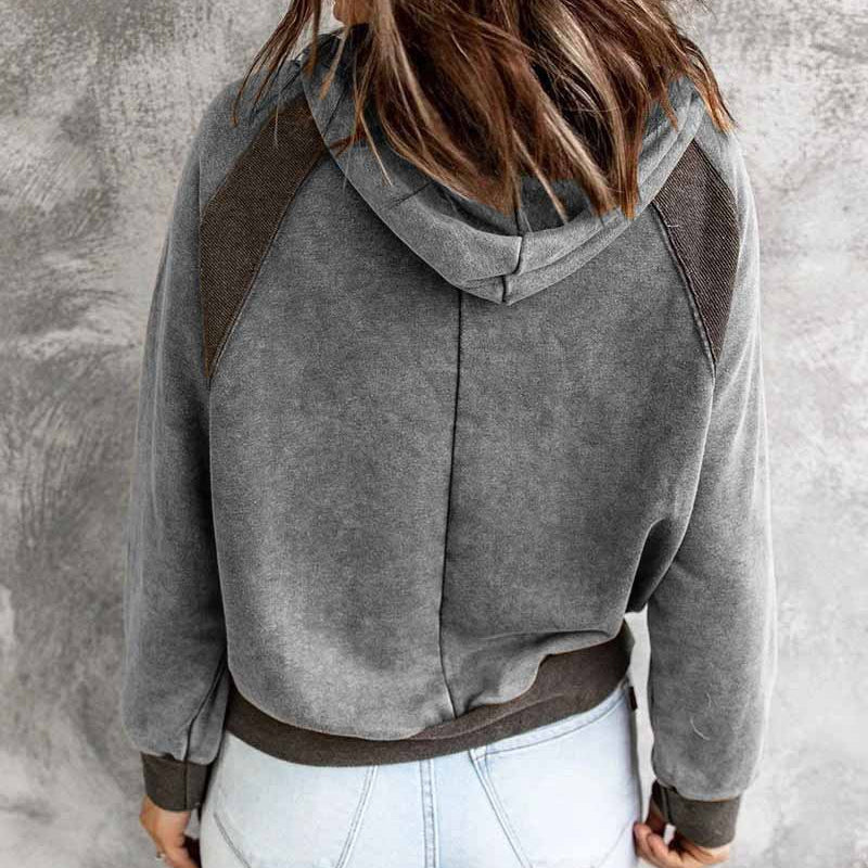 Casual Panel Hooded Long Sleeve Sweatshirt