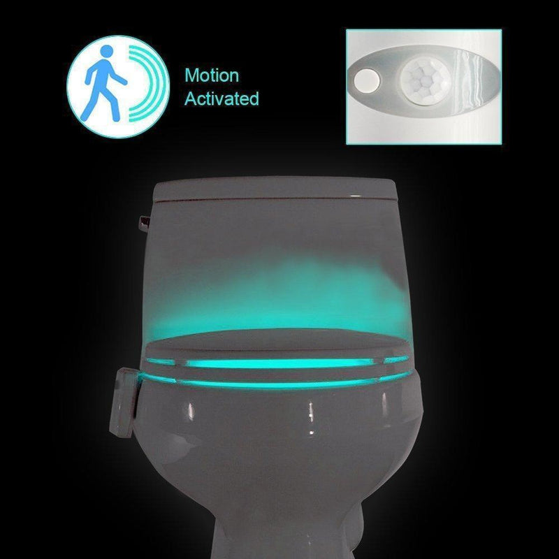 Hirundo 16-Color Motion Sensor LED Toilet Night Light