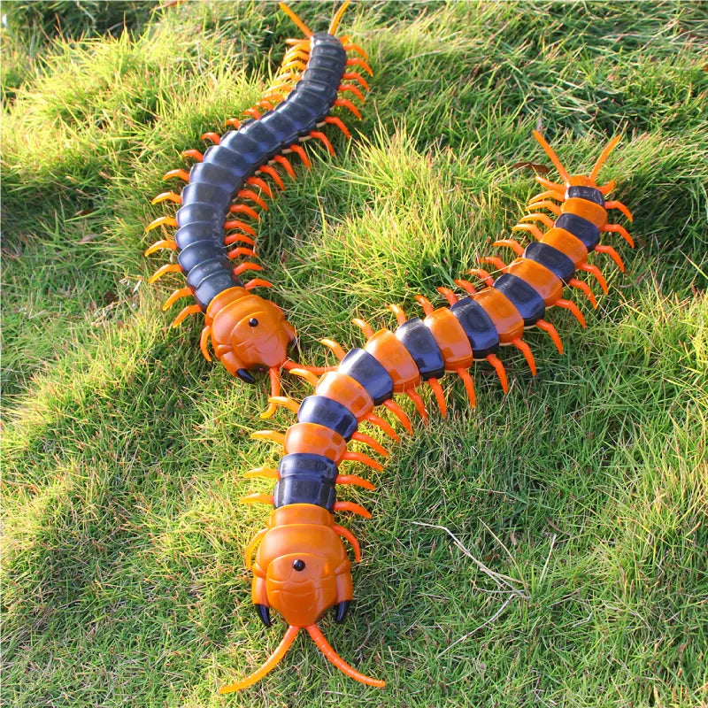 Electric Centipede Cat Teaser Toy with Remote