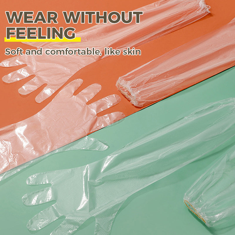 Disposable Gloves