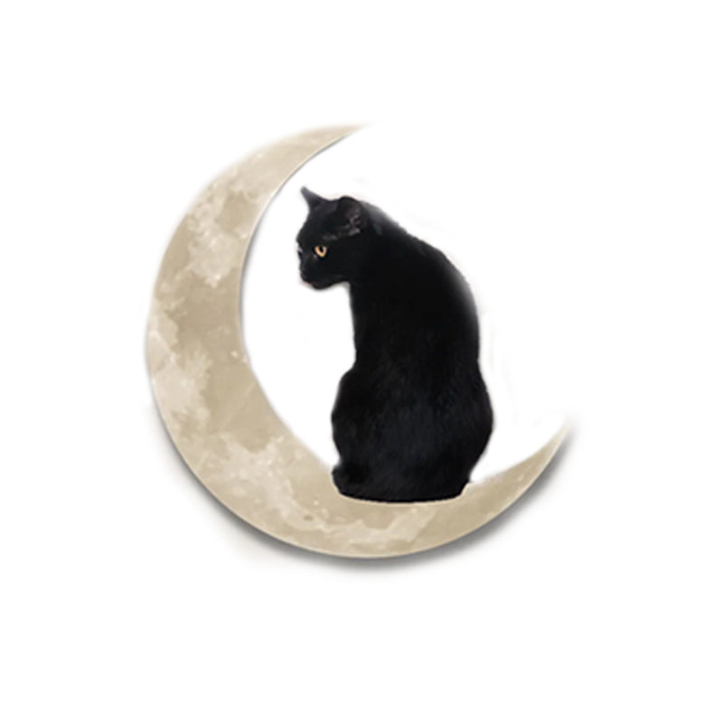Black Cat Moon Wall Hanging