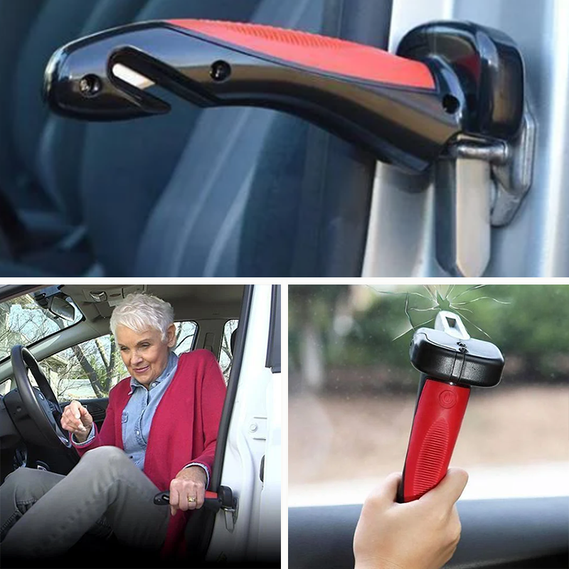 Car Cane