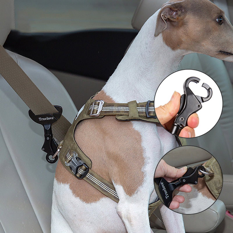 Dog Seat Belt