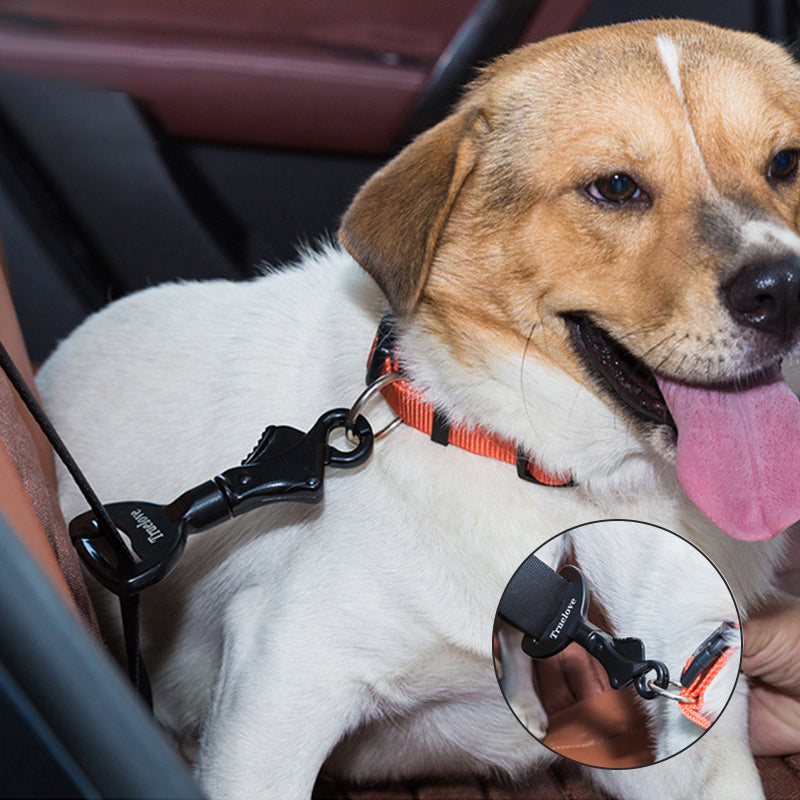 Dog Seat Belt