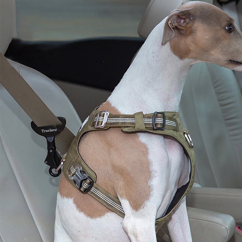 Dog Seat Belt