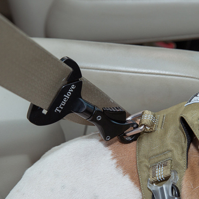 Dog Seat Belt