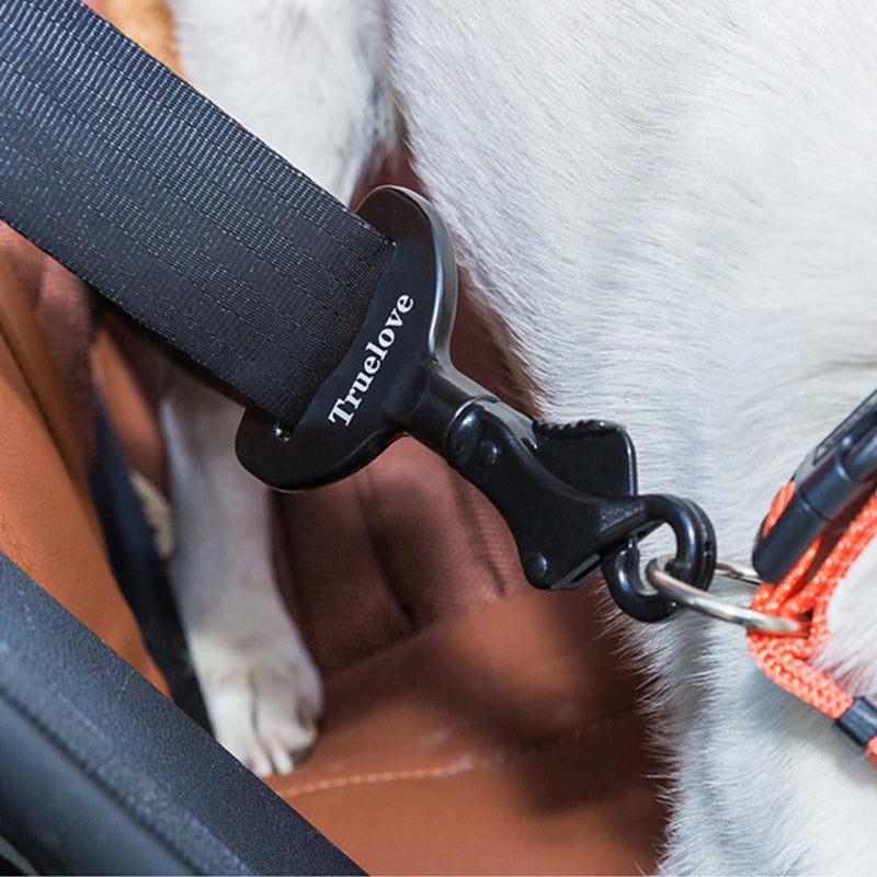 Dog Seat Belt