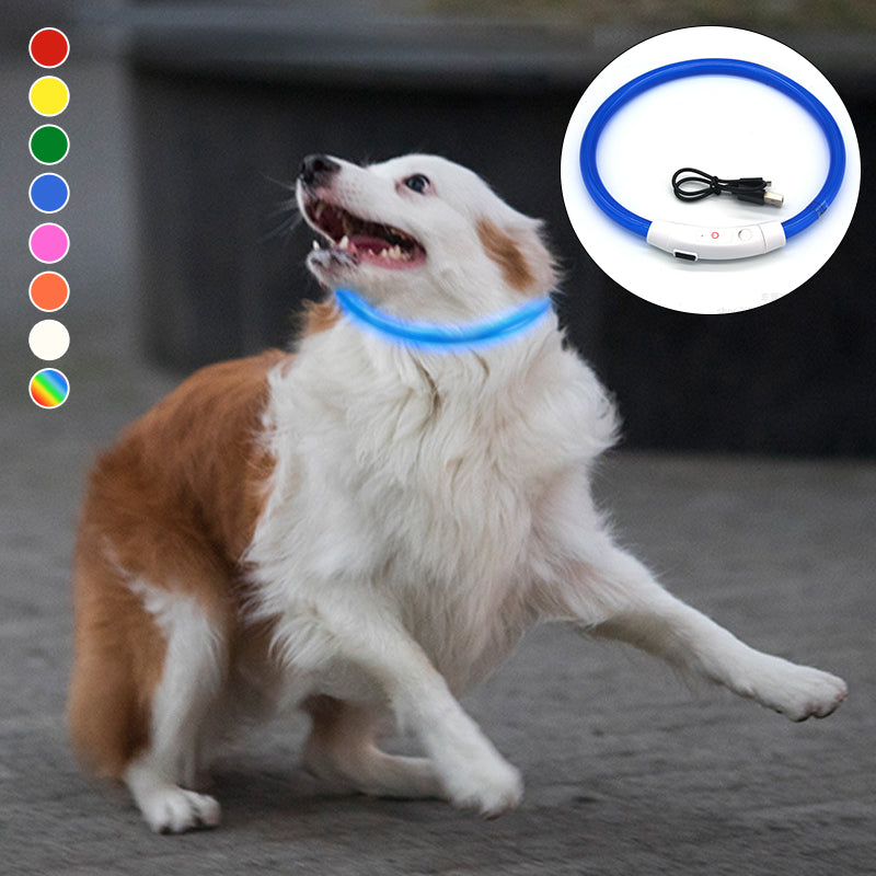 USB Charging Pet Light-emitting Collar