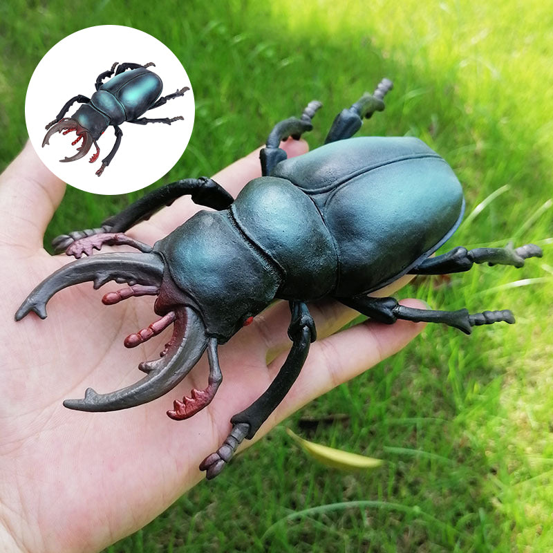 Simulated Insect Model